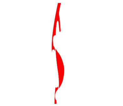 Lower Extremity Bypass