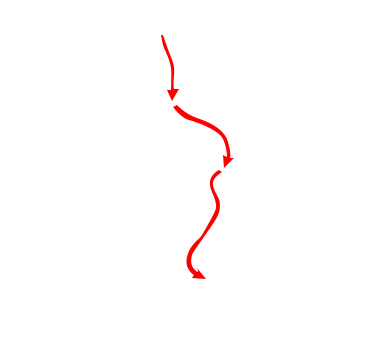Venous Disease Surgery