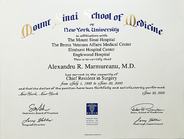 Mount Sinai School Medicine Chief