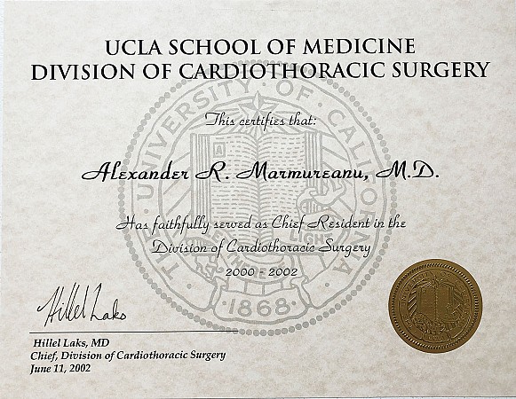 UCLA Diploma Chief Resident 2002